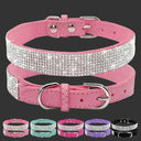 Smart Pet Collars