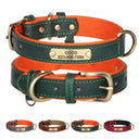 Engraved Dog Collar & Leash for Pitbulls