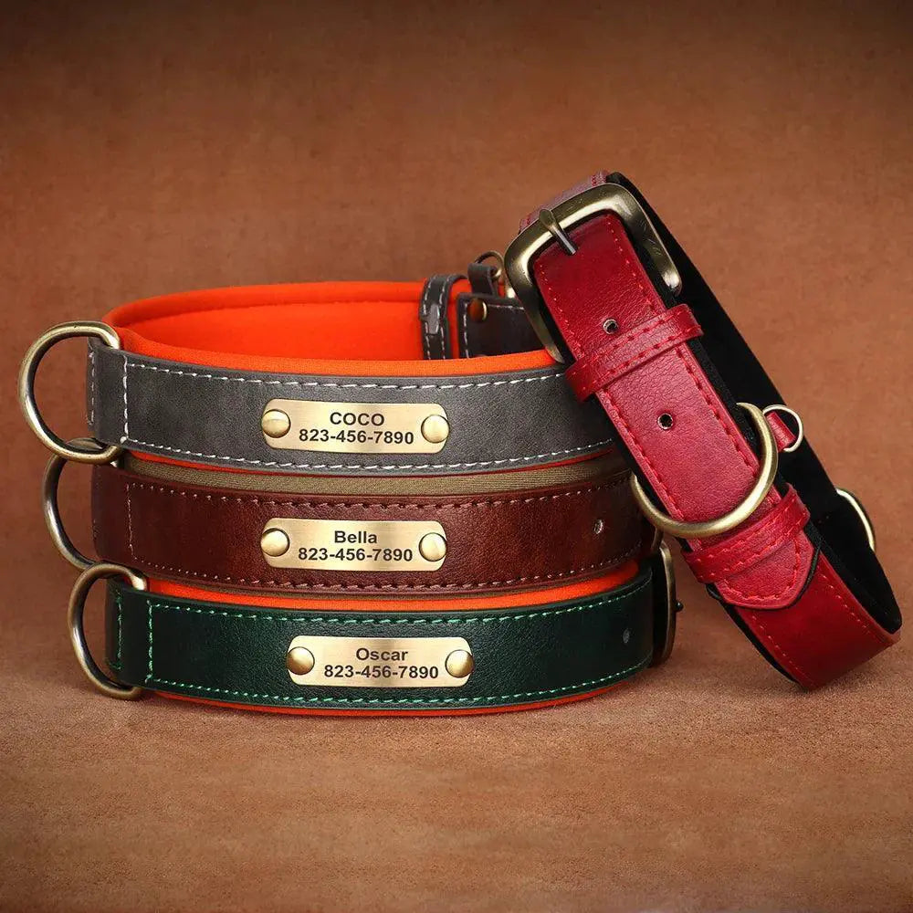 Custom Engraved Leather Collar and Leash Set for Pitbulls