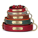 Engraved Dog Collar & Leash for Pitbulls