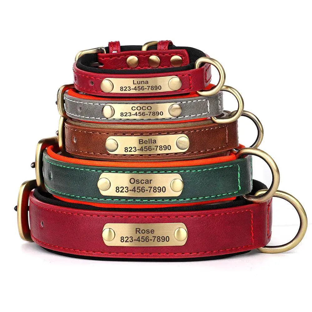 Custom Engraved Leather Collar and Leash Set for Pitbulls