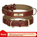 Engraved Dog Collar & Leash for Pitbulls