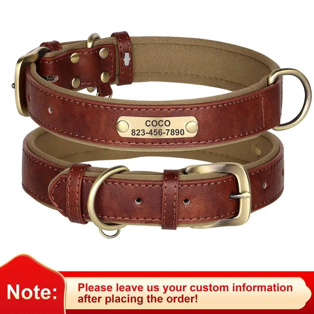 Custom Engraved Leather Collar and Leash Set for Pitbulls