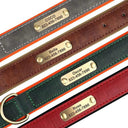 Engraved Dog Collar & Leash for Pitbulls