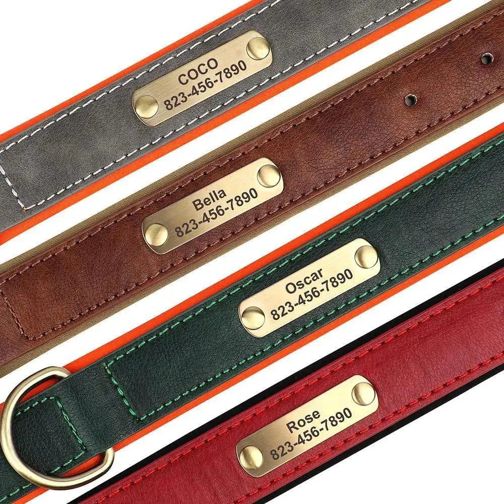 Custom Engraved Leather Collar and Leash Set for Pitbulls