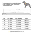 Engraved Dog Collar & Leash for Pitbulls
