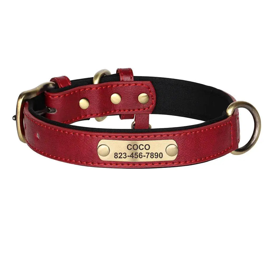 Custom Engraved Leather Collar and Leash Set for Pitbulls