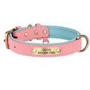 Engraved Dog Collar & Leash for Pitbulls