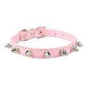 Pet Collar for Cats and Small Dogs