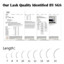 Lightweight False Eyelashes For Beginners