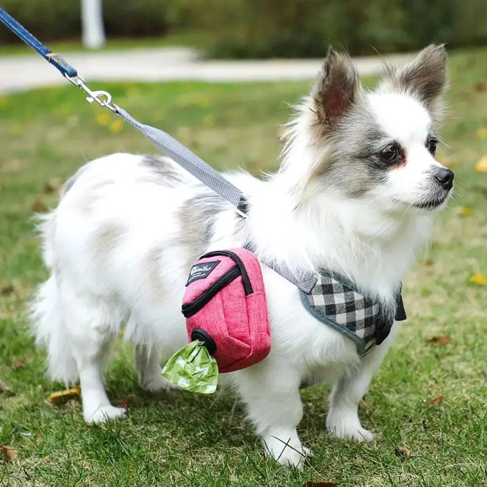 Adventure Dog Treat And Poop Bag With Storage Outdoor Kit