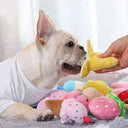 Durable Plush Dog Toy for Small Chewers