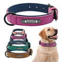 Safety Leather Pitbull Collar for Walks