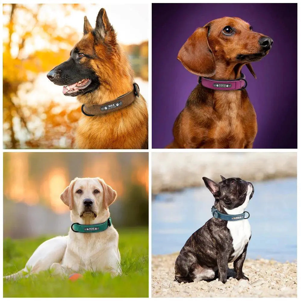 Luxury Personalized Leather Pitbull Collar for Safety