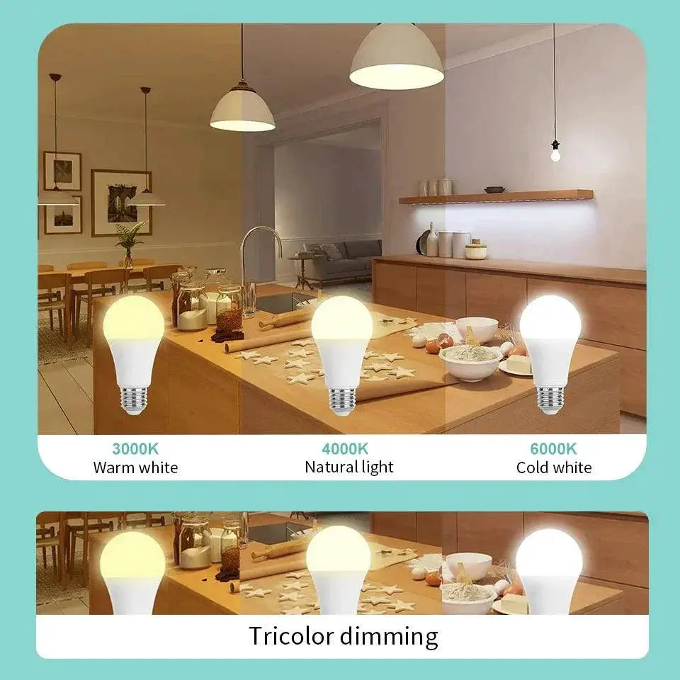 LED Bulb Variety Pack Cold White Lights for Living Spaces