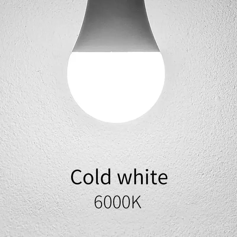 LED Bulb Variety Pack Cold White Lights for Living Spaces