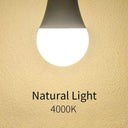 Led Bulbs for Living Spaces, Bright
