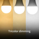 Led Bulbs for Living Spaces, Bright
