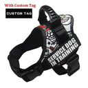 Custom Reflective Nylon Dog Harness Personalized No Pull