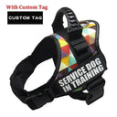 Custom Reflective Nylon Dog Harness Personalized No Pull