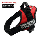 Custom Reflective Nylon Dog Harness Personalized No Pull
