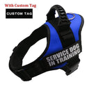 Custom Reflective Nylon Dog Harness Personalized No Pull