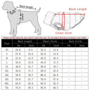 Warm Dog Coat for Winter Walks and Rain