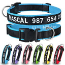 Personalized ID Dog Collar for Owners