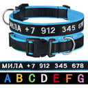 Personalized ID Dog Collar for Owners