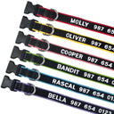 Personalized ID Dog Collar for Owners