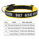 Embroidered Dog Collar Personalized Free Customization