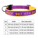Embroidered Dog Collar Personalized Free Customization