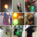 LED Pet Safety Collar Night Walking Glowing Pendant Flash
