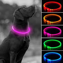 Illuminate Night Walks with LED Dog Collar for Safety