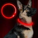 Led Dog Collar for Nighttime Visibility
