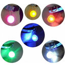 Brighter Night Safety Pet Pendant Light