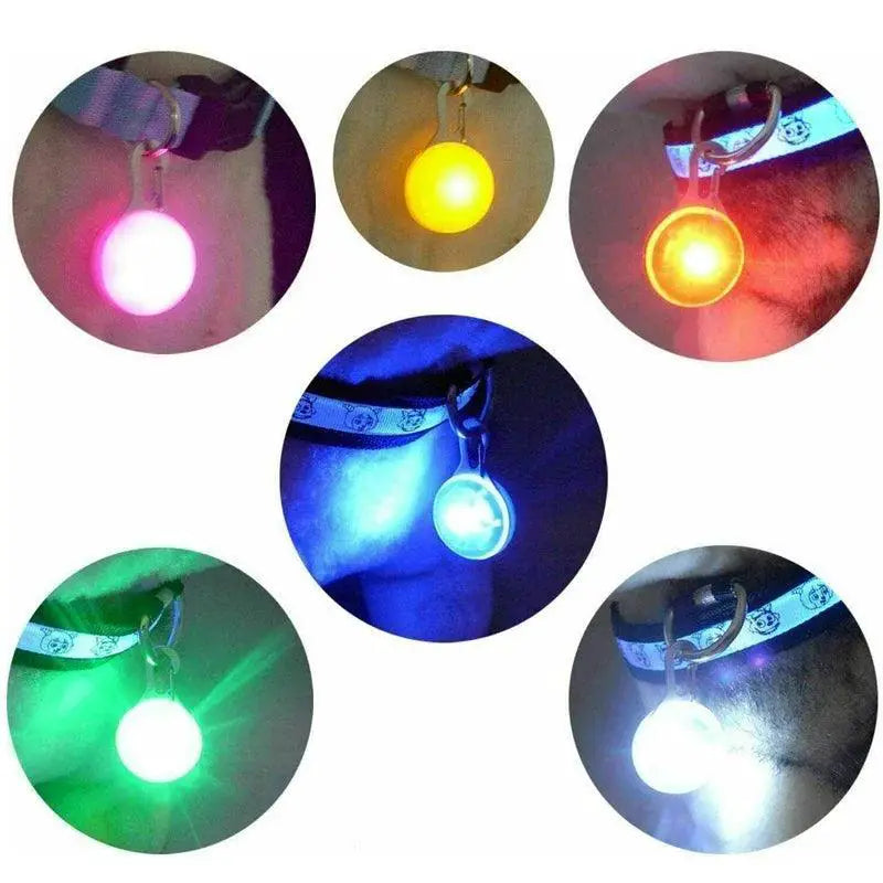 Led Glow Pet Collar Pendant Charm Night Safety Light