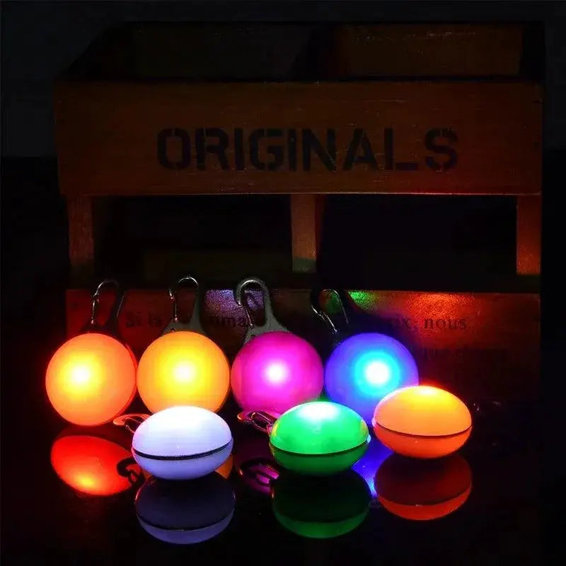 Led Glow Pet Collar Pendant Charm Night Safety Light