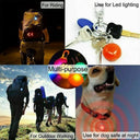 Brighter Night Safety Pet Pendant Light