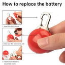 Brighter Night Safety Pet Pendant Light