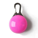Brighter Night Safety Pet Pendant Light
