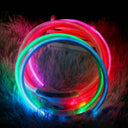 Bright Night Safety Dog Collar for Walks