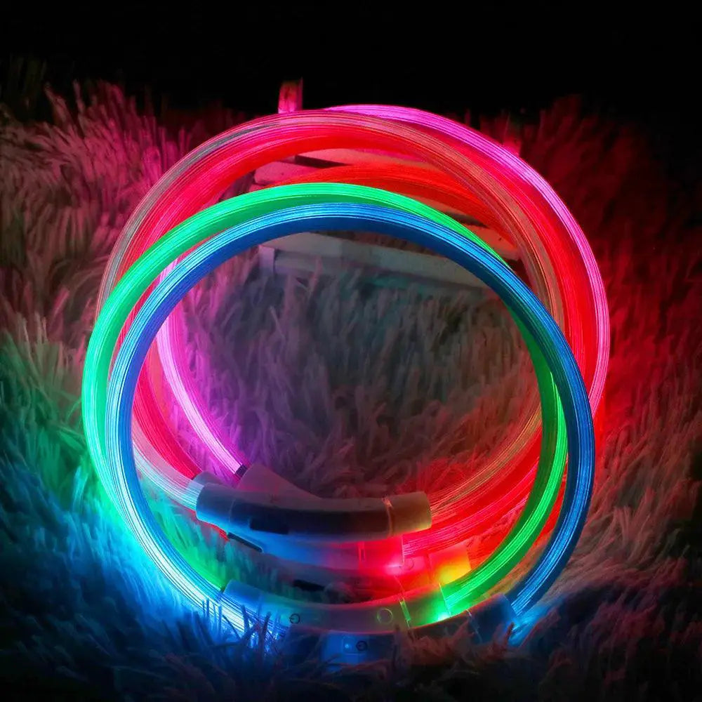 NICEYARD LED Dog Collar Night Safety Flashing Lights