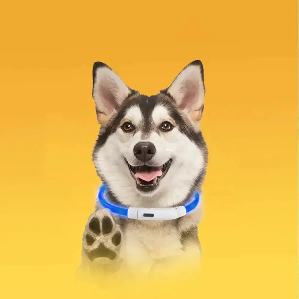 NICEYARD LED Dog Collar Night Safety Flashing Lights
