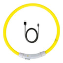 Bright Night Safety Dog Collar for Walks