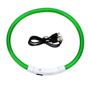 Bright Night Safety Dog Collar for Walks