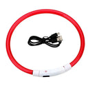 Bright Night Safety Dog Collar for Walks