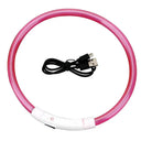 Bright Night Safety Dog Collar for Walks