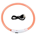 Bright Night Safety Dog Collar for Walks