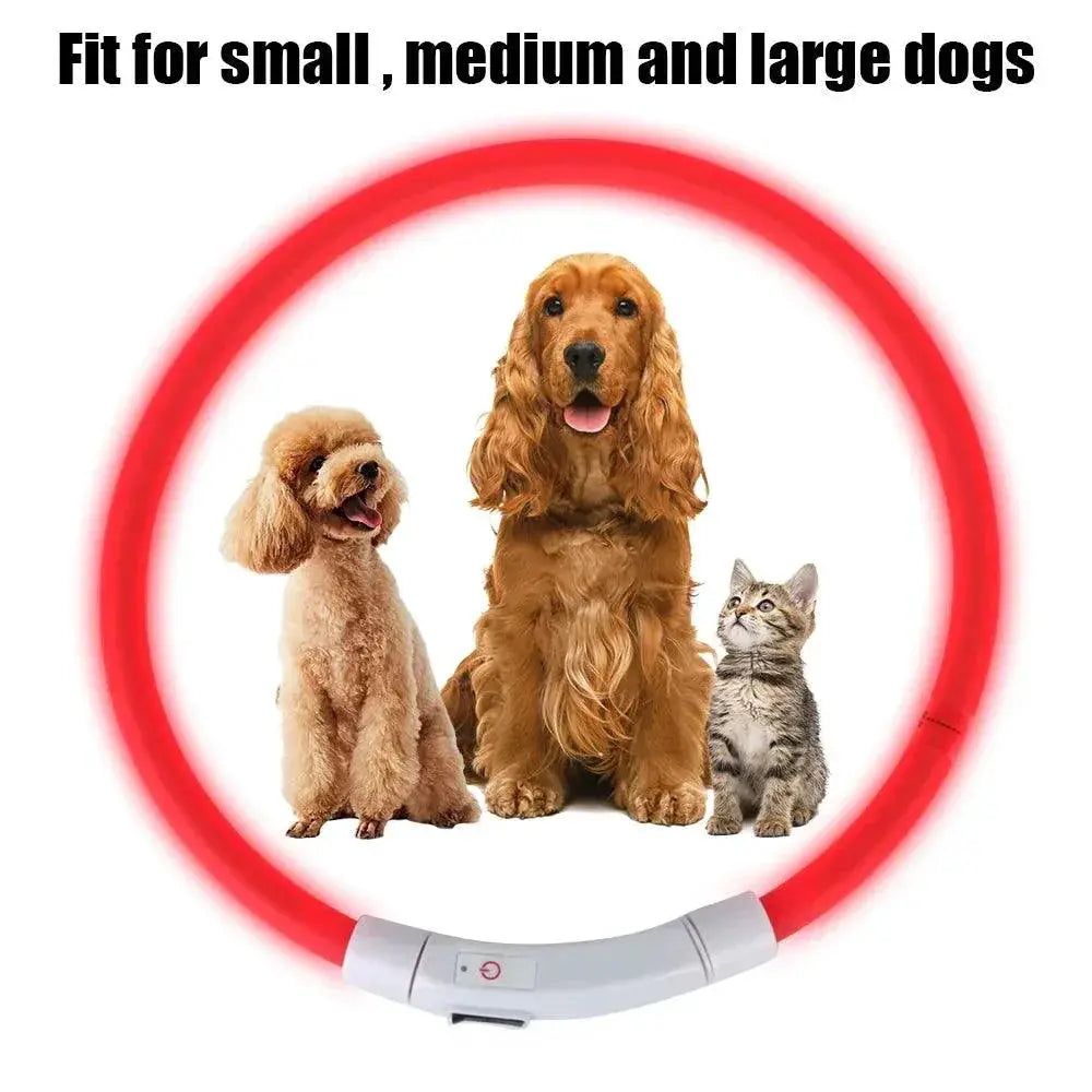 Night Glow LED Dog Collar High Visibility Pet Safety Light